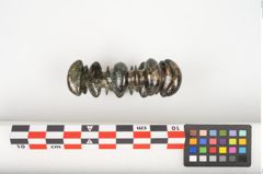 Foto von Bronzebuckelarmreif (NHMW-PRAE-025969)